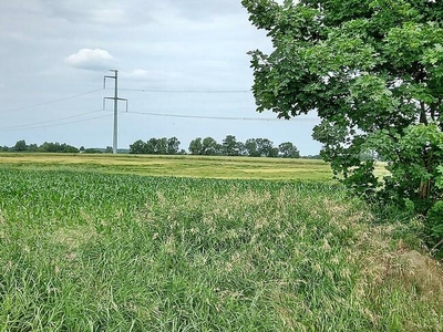 Sulimów - działka budowlana o pow.12800m2 pod lasem