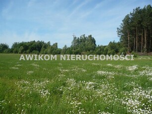 Działka siedliskowa Joachimów-Mogiły gm. Bolimów