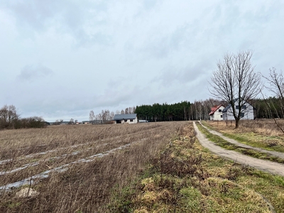 Działka budowlana pod Szubinem, w okolicy las, staw i łąki