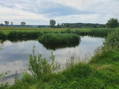 Działka z zabudowaniami na Podlasiu