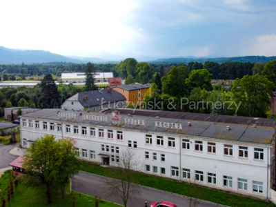 Lokal użytkowy, ul. Daszyńskiego