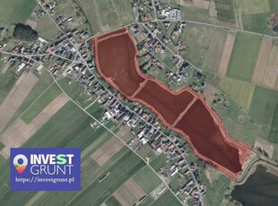 [14,34 ha] przetarg na dzierżawę stawów rybnych