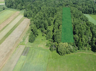 Las, działka leśna 0,54ha, Ustrzesz