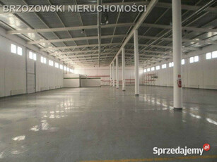 Ogłoszenie lokal Warszawa 7200m2