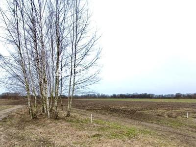 Żyrardowski, Mszczonów, Nowy Dworek