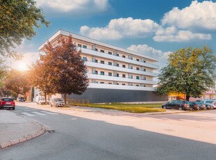 Dębowe Apartamenty