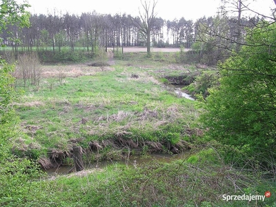 Działka nad strugą Węglewska