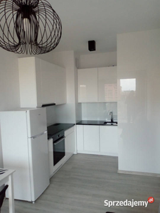 Do wynajęcia apartament 37 m2 dwupokojowy