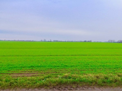 Działka budowlana Niechorze, ul. Klifowa