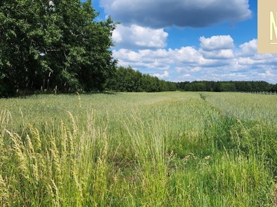 Działka budowlana Puczniew