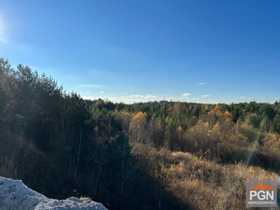 Działka rolna Gostyniec