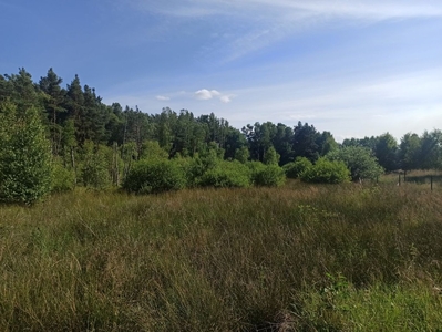 Działka rolna Leśniewo, ul. Pucka