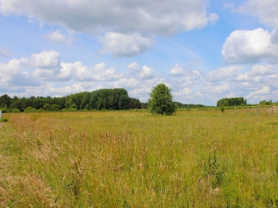 Działka rolna Zabłudów