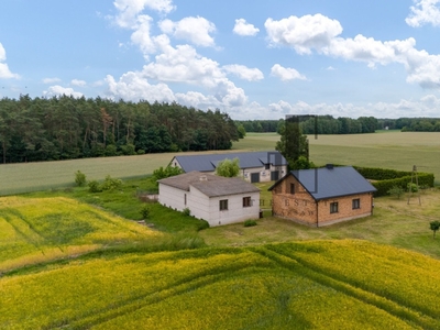 Działka siedliskowa Czarnoty