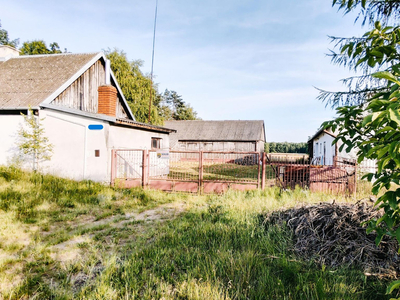 Grodziski, Żabia Wola, Kaleń