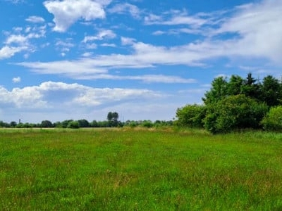 Działka budowlana Czernin