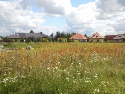 Działka budowlana Tarnowo Podgórne, ul. Rolna