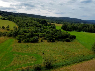 Działka Długopole Dolne