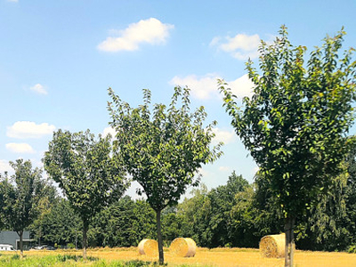 Działka przemysłowa, ul. Katowicka