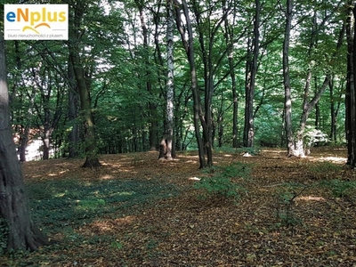 Działka leśna Kraków Swoszowice, ul. Wróblowicka