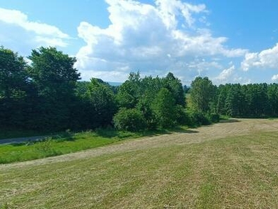 Działka rolna Śniadka Druga gm. Bodzentyn