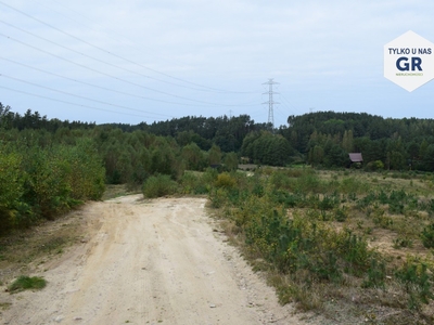 Działka rolna Nowa Wieś Kościerska, ul. Zielona