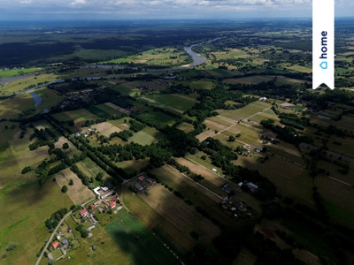 Działka siedliskowa Wilczogęby