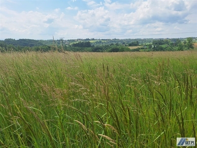 Działka usługowa Wielka Wieś