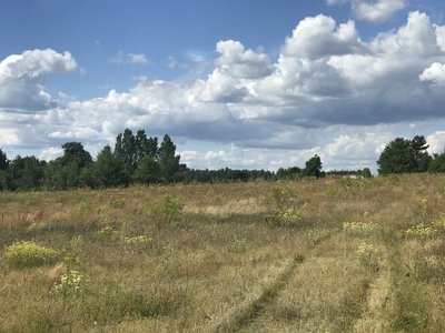 Górzno ul. Akacjowa. Działka Budowlana.