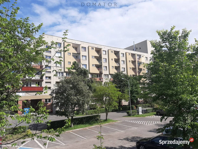 Oferta sprzedaży mieszkania 47.8m2 2 pokoje Chorzów