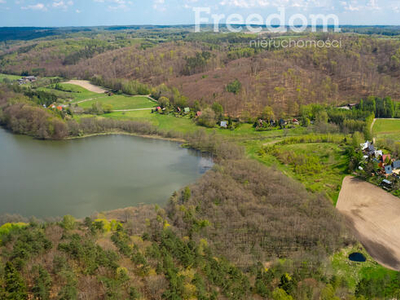 Przy jeziorze, nieskażona natura w czystej postaci