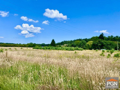 Kamieński, Wolin, Domysłów