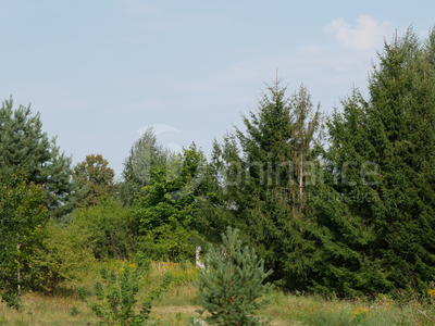 Lubelski, Strzyżewice, Żabia Wola