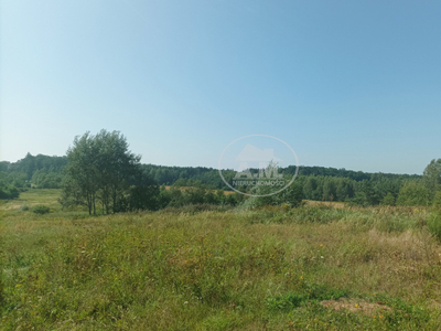 Trzebnicki, Oborniki Śląskie, Rościsławice