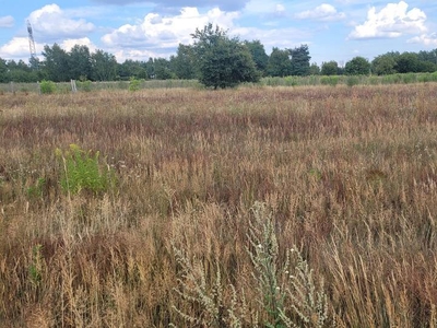 Działka z WZ, Beskidzka,Łódź wylot na Wawę,bezpośrednio