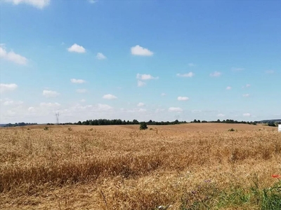 Działka na sprzedaż, Gdański, Trąbki Wielkie gm, Rościszewo