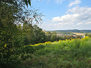 Bocheński (pow.), Łapanów (gm.), Łapanów