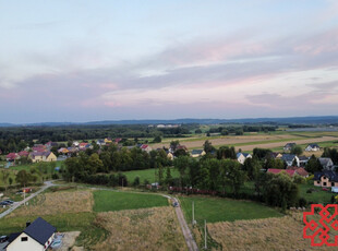 Bocheński, Rzezawa, Ostrów Królewski