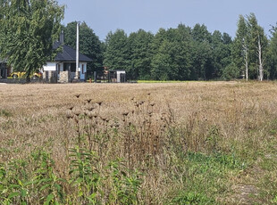 Dąbrowski, Dąbrowa Tarnowska, Gruszów Mały