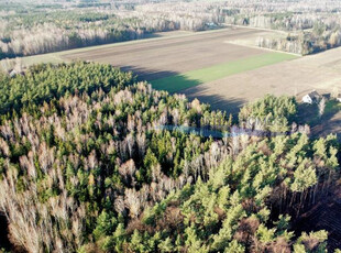 Grodziski, Żabia Wola, Petrykozy, Za Gajem