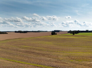 Kołobrzeski, Gościno