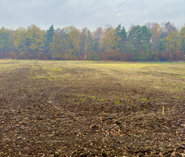 Mikołowski, Orzesze, Zawiść, Pasieki