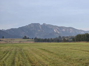 tatrzański, Zakopane, Wojdyły