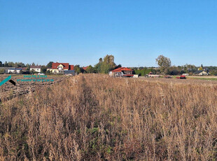 Warszawski Zachodni, Leszno, Zaborówek