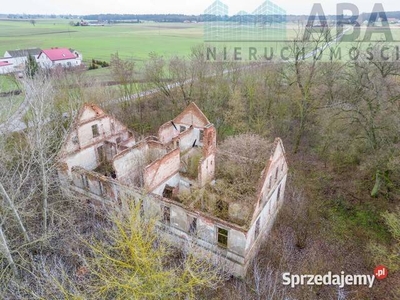 Dworek z dużym parkiem na sprzedaż - Racięcin