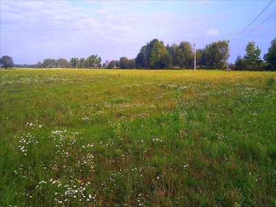 Działka budowlana Borkowice