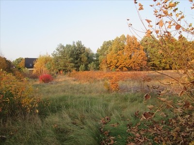 Działka na sprzedaż, Wejherowski, Wejherowo gm, Orle