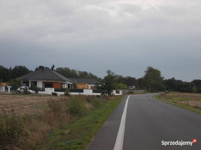 Działki budowlane przy lesie gm. Stare Miasto Krągola