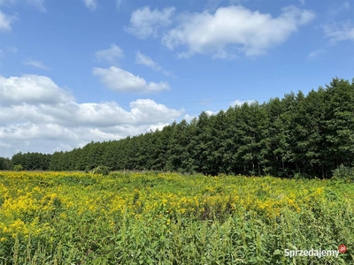 Kopanino działki 3000m2