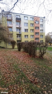 2 pokojowe mieszkanie 42m,Wałbrzych Piaskowa Góra